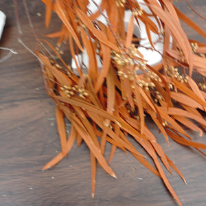 Preserved eucalyptus