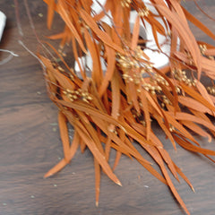 Preserved eucalyptus
