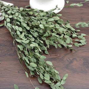 eucalyptus.eucalyptus bouquet.eucalyptus home wedding decor,eucalyptus tree