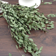 eucalyptus.eucalyptus bouquet.eucalyptus home wedding decor,eucalyptus tree