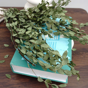 eucalyptus.eucalyptus bouquet.eucalyptus home wedding decor,eucalyptus tree