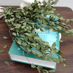 eucalyptus.eucalyptus bouquet.eucalyptus home wedding decor,eucalyptus tree
