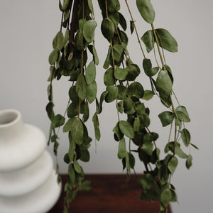 eucalyptus.eucalyptus bouquet.eucalyptus home wedding decor,eucalyptus tree