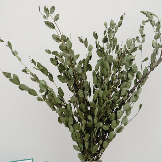 eucalyptus.eucalyptus bouquet.eucalyptus home wedding decor,eucalyptus tree