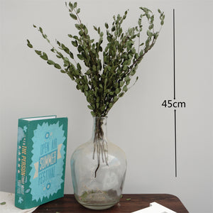 eucalyptus.eucalyptus bouquet.eucalyptus home wedding decor,eucalyptus tree