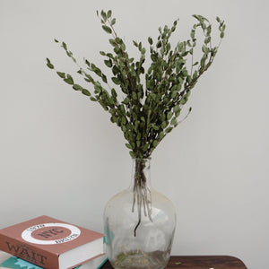 eucalyptus.eucalyptus bouquet.eucalyptus home wedding decor,eucalyptus tree