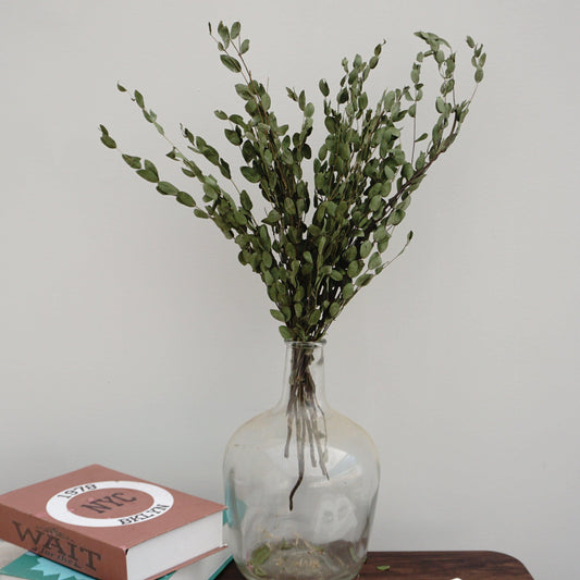 eucalyptus.eucalyptus bouquet.eucalyptus home wedding decor,eucalyptus tree