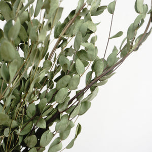 eucalyptus.eucalyptus bouquet.eucalyptus home wedding decor,eucalyptus tree