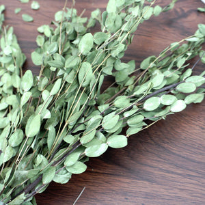 eucalyptus.eucalyptus bouquet.eucalyptus home wedding decor,eucalyptus tree