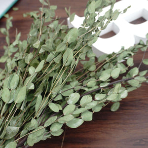 eucalyptus.eucalyptus bouquet.eucalyptus home wedding decor,eucalyptus tree