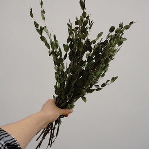 eucalyptus.eucalyptus bouquet.eucalyptus home wedding decor,eucalyptus tree