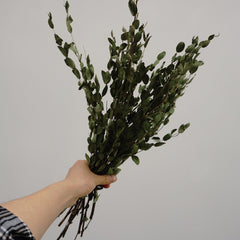 eucalyptus.eucalyptus bouquet.eucalyptus home wedding decor,eucalyptus tree