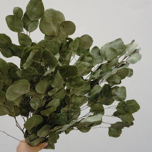 Eucalyptus.wedding  decor,eucalyptus flower.eucalyptus bouquet,eucalyptus centerpiece