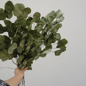 Eucalyptus.wedding  decor,eucalyptus flower.eucalyptus bouquet,eucalyptus centerpiece