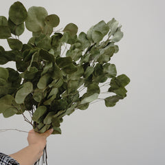 Eucalyptus.wedding  decor,eucalyptus flower.eucalyptus bouquet,eucalyptus centerpiece