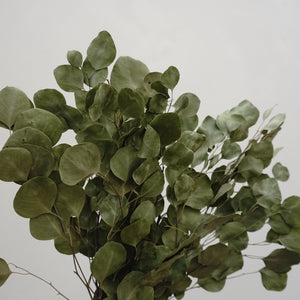Eucalyptus.wedding  decor,eucalyptus flower.eucalyptus bouquet,eucalyptus centerpiece