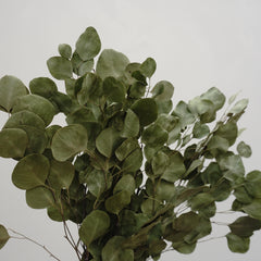 Eucalyptus.wedding  decor,eucalyptus flower.eucalyptus bouquet,eucalyptus centerpiece