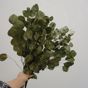 Eucalyptus.wedding  decor,eucalyptus flower.eucalyptus bouquet,eucalyptus centerpiece