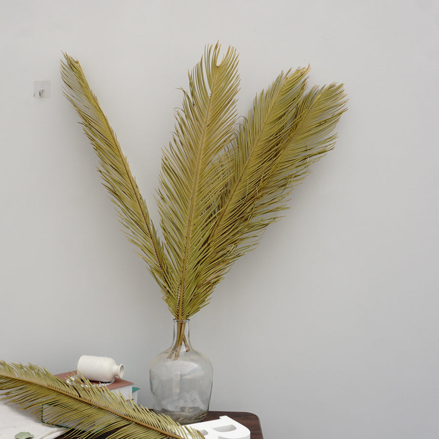 Dried flower ,palm leaves for home decor