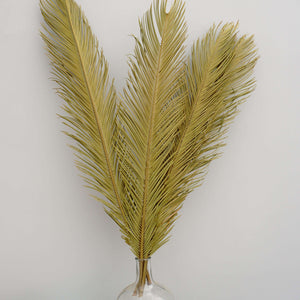 Dried flower ,palm leaves for home decor