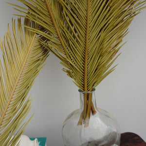 Dried flower ,palm leaves for home decor