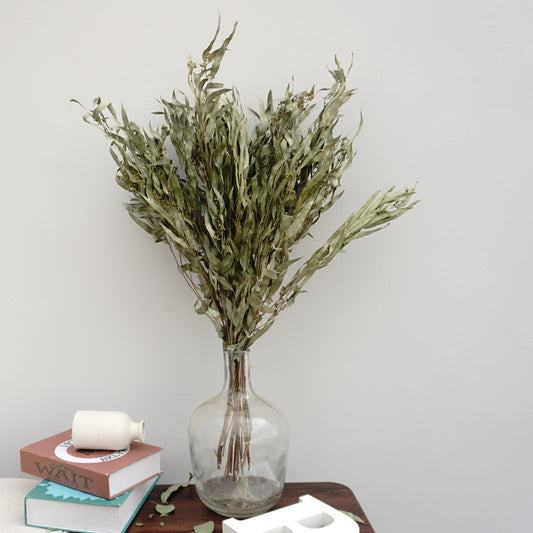 Eucalyptus,Dried flower ,home decor, wedding decor ,dried leaves,green color flower