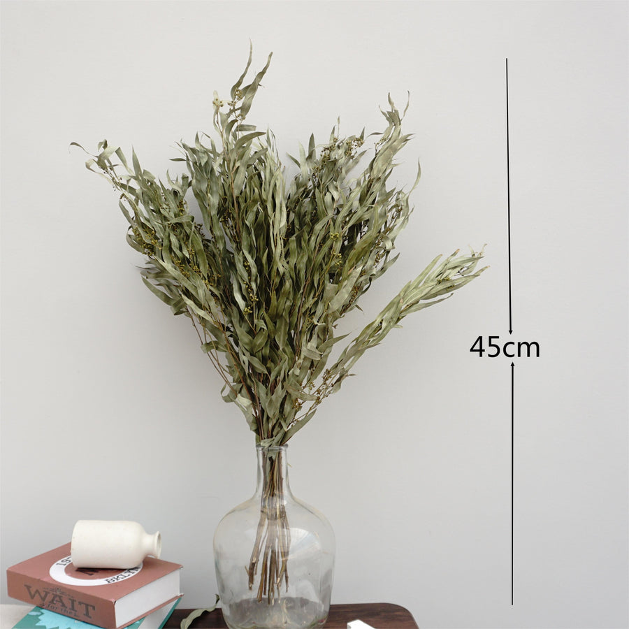 Eucalyptus,Dried flower ,home decor, wedding decor ,dried leaves,green color flower