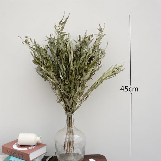Eucalyptus,Dried flower ,home decor, wedding decor ,dried leaves,green color flower