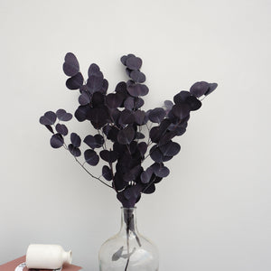 Eucalyptus,preserved flowers ,home decor