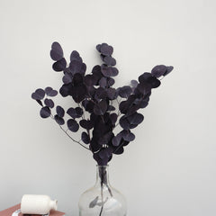 Eucalyptus,preserved flowers ,home decor