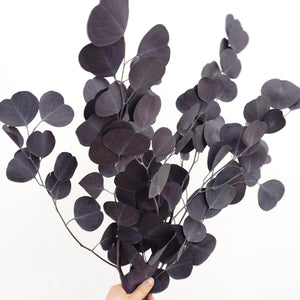 Eucalyptus,preserved flowers ,home decor