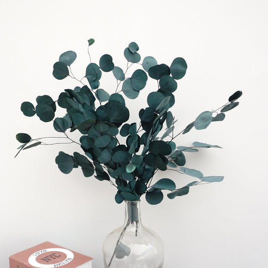 Eucalyptus,preserved flowers ,home decor