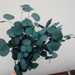 Eucalyptus,preserved flowers ,home decor