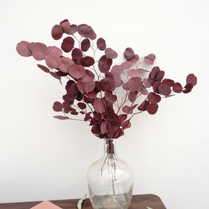 Eucalyptus,preserved flowers ,home decor