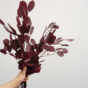 Eucalyptus,preserved flowers ,home decor
