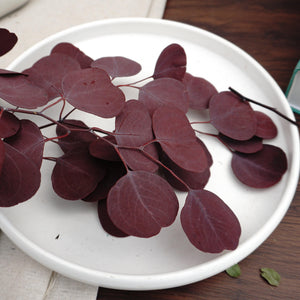 Eucalyptus,preserved flowers ,home decor