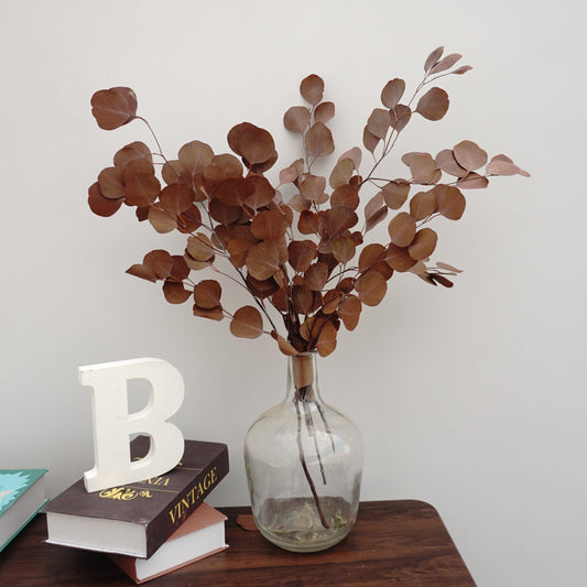 Eucalyptus,preserved flowers ,home decor