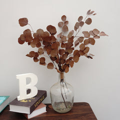 Eucalyptus,preserved flowers ,home decor