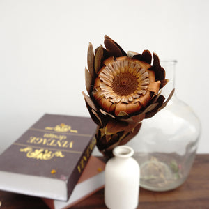 Dried sunflower,dried flower ,brown color flower