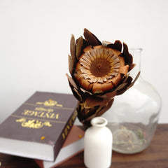 Dried sunflower,dried flower ,brown color flower