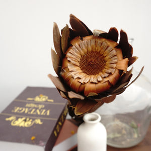 Dried sunflower,dried flower ,brown color flower