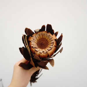 Dried sunflower,dried flower ,brown color flower