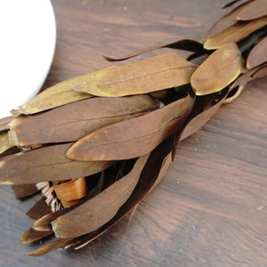 Dried sunflower,dried flower ,brown color flower