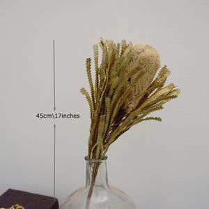 Dried flower dried flower materials,bankwood,preserved flower and plants