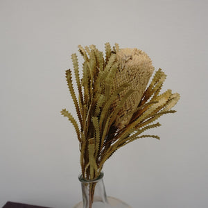 Dried flower dried flower materials,bankwood,preserved flower and plants