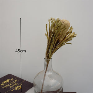 Dried flower dried flower materials,bankwood,preserved flower and plants