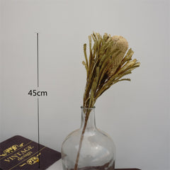 Dried flower dried flower materials,bankwood,preserved flower and plants