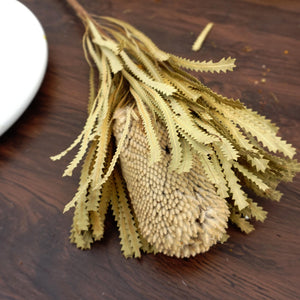 Dried flower dried flower materials,bankwood,preserved flower and plants