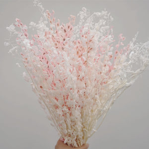 Dried flowers and plants，dried flower bouquet，dried flower
