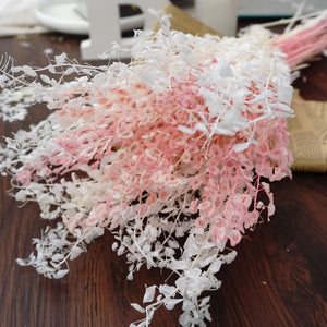 Dried flowers and plants，dried flower bouquet，dried flower